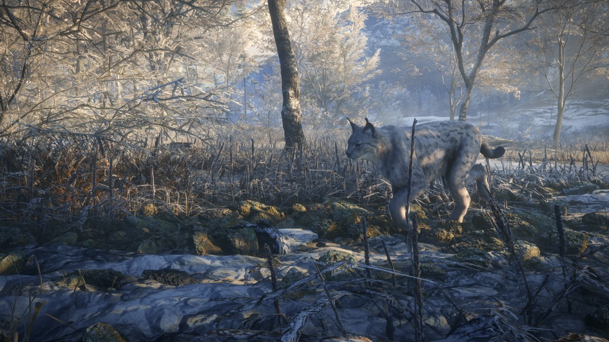 theHunter: Call of the Wildtm - Medved-Taiga