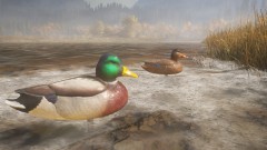 theHunter: Call of the Wildtm - Duck and Cover Pack