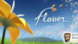Flower Flower