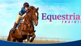 Equestrian Training Equestrian Training