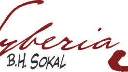 Syberia 3 (Microids)