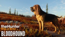 theHunter: Call of the Wildtm - Bloodhound