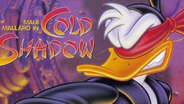 Maui Mallard in Cold Shadow Maui Mallard in Cold Shadow